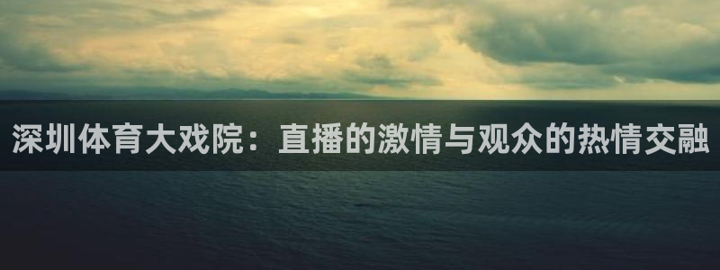 雨燕直播360：深圳体育大戏院：直播的激情与观众的热情交融