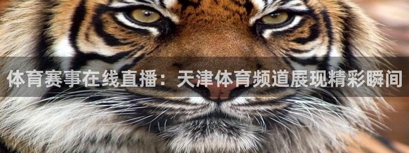 360足球直播高清：体育赛事在线直播：天津体育频道展现精彩瞬间