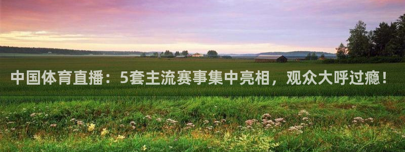 雨燕360体育直播无插件：中国体育直播：5套主流赛事集中亮相，观众大呼过瘾！