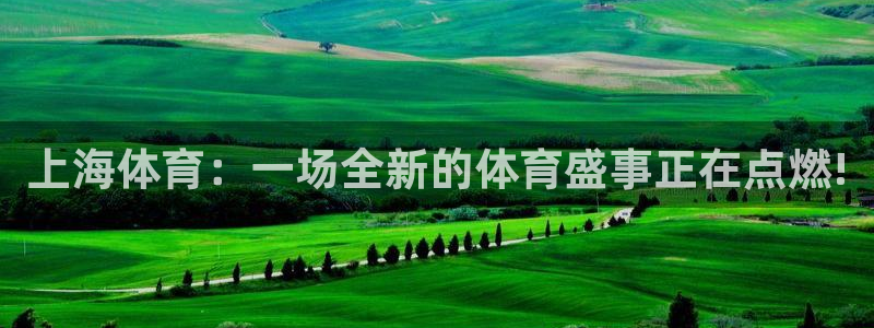 360体育直播网：上海体育：一场全新的体育盛事正在点燃!