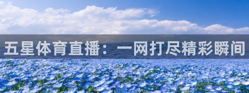 360直播免费体育直播：五星体育直播：一网打尽精彩瞬间