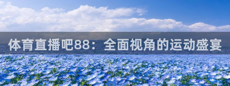 广东体育360在线直播：体育直播吧88：全面视角的运动盛宴